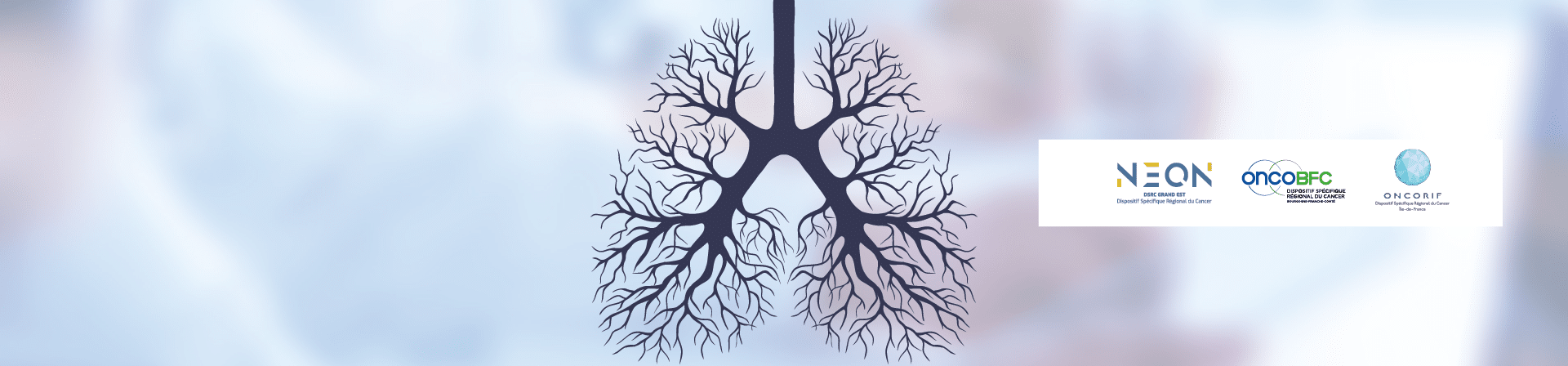 Banniere références THORAX 2025